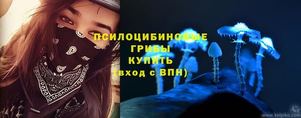 гидра Волоколамск