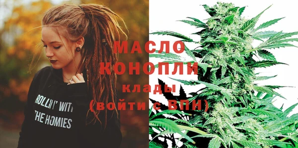 индика Волосово