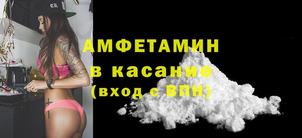 индика Волосово