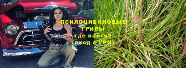 индика Волосово