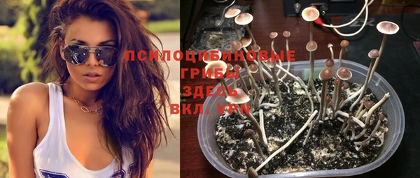 гидра Волоколамск