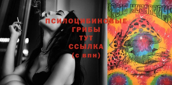 спиды Володарск