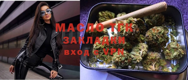 индика Волосово