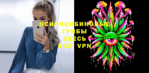 индика Волосово