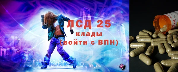 гидра Волоколамск