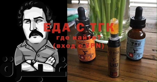индика Волосово