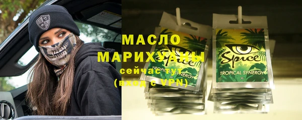 индика Волосово