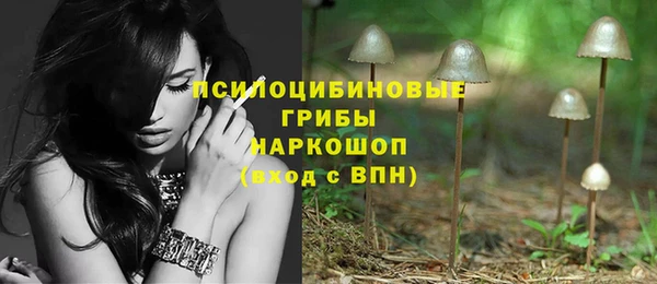 индика Волосово