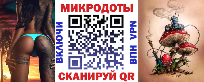 Купить закладки  Севск  Галлюциногенные грибы Psilocybe 